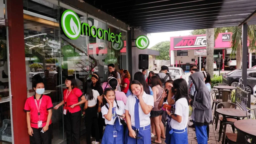 Party-Panda-Box-Deals-at-Moonleaf-Tea